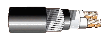 Cáp chống bén cháy theo IEC 60332-3-24, 0.6/1(1.2)kV, ruột đồng, 2 lõi, cách điện XLPE, giáp sợi thép mạ kẽm ( hoặc giáp 2 lớp băng thép )