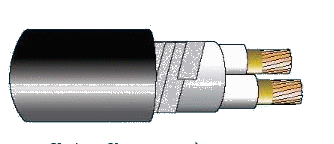 Cáp chống bén cháy theo IEC60332-3-24, 0.6/1(1.2)kV, ruột đồng, 2 lõi, cách điện XLPE, không giáp